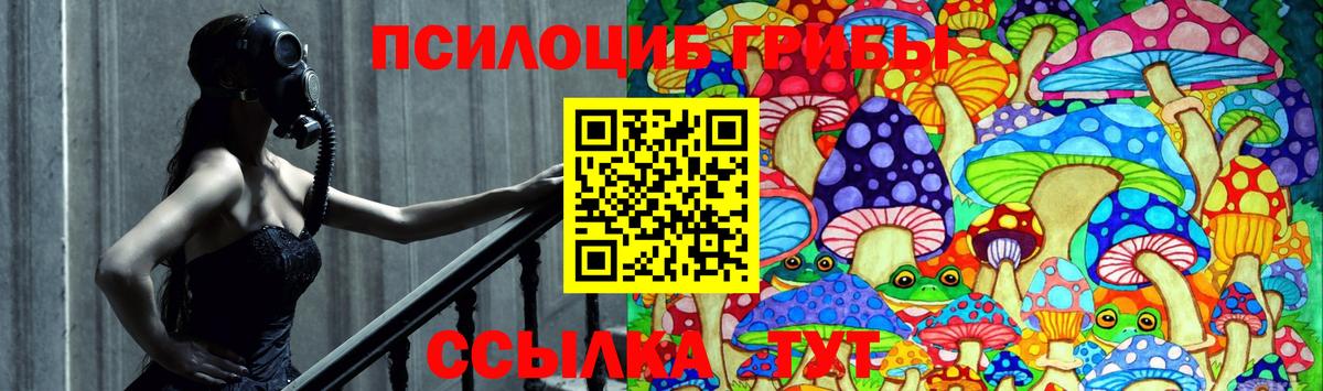 Озёрск  Псилоцибиновые грибы Magic Shrooms  Вход с VPN 